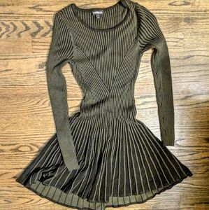 Express Stretch Knit Dress